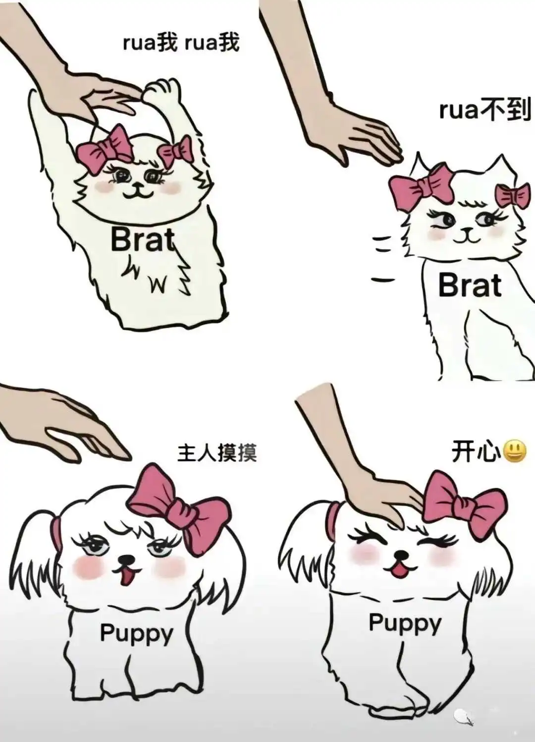 西檬之家dirty talk是什么?字母圈新人必看技巧指南 一