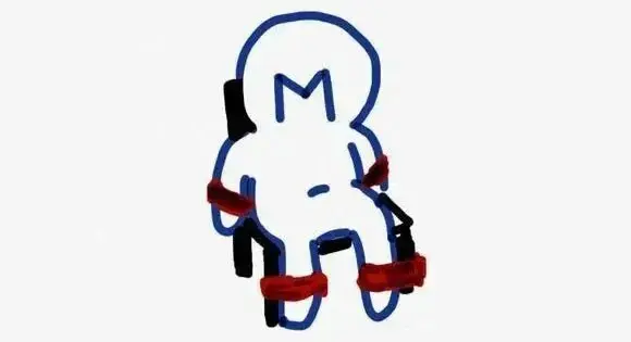 西檬之家K9是什么?揭开字母圈中的神秘面纱 一