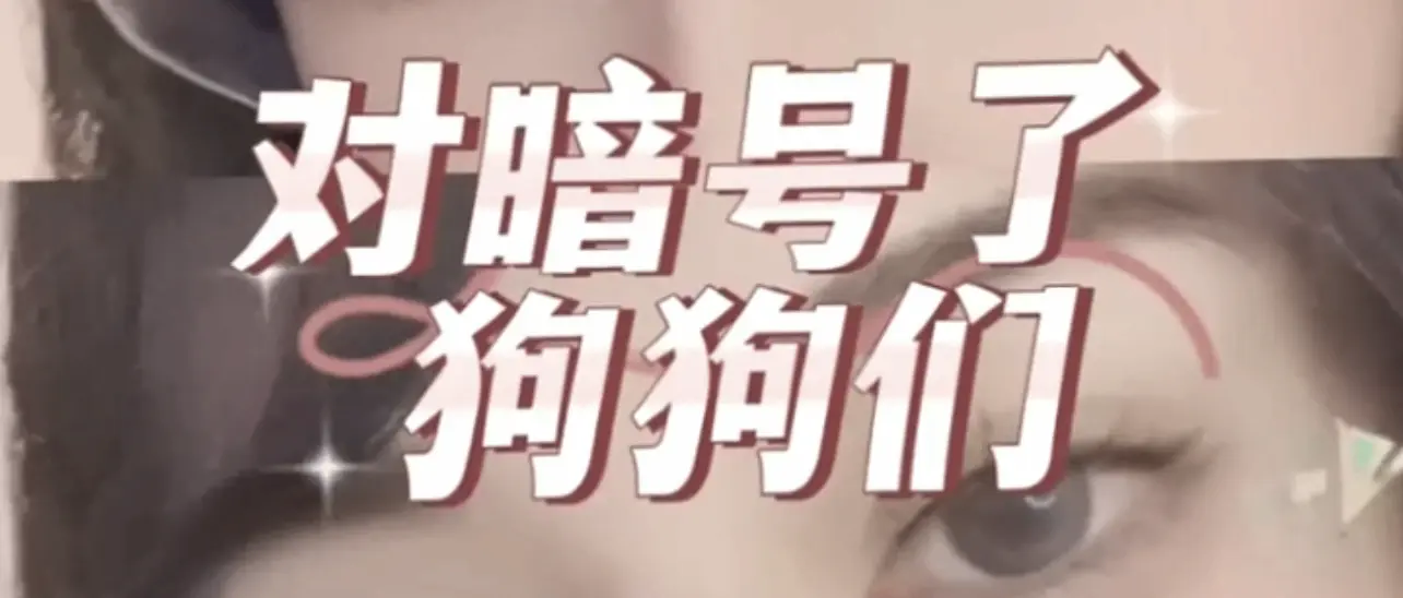 西檬之家字母圈中DOM的角色解析与实践技巧 一