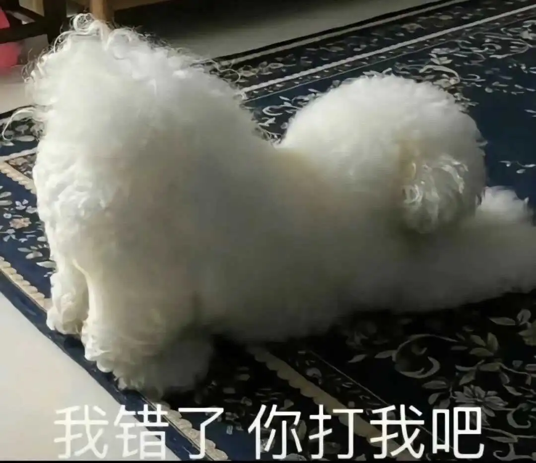 西檬之家字母圈的女王是什么? 一