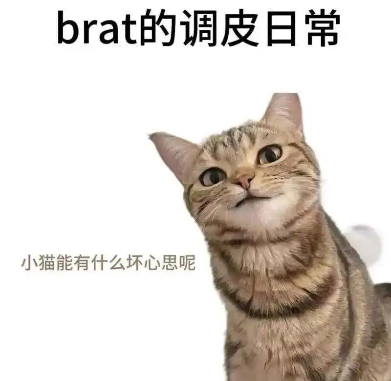 西檬之家BDSM入圈新手必读 一