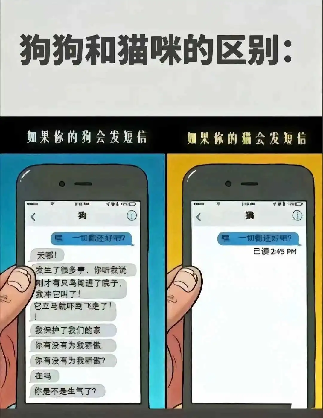 西檬之家brat属性是什么? 一