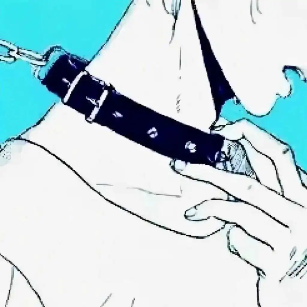 西檬之家s属性是什么意思?你是哪种支配者? 一