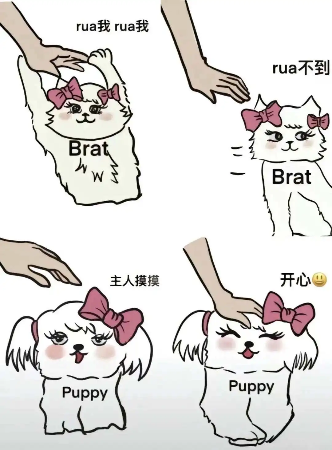 西檬之家字母圈的s属性是什么? 一