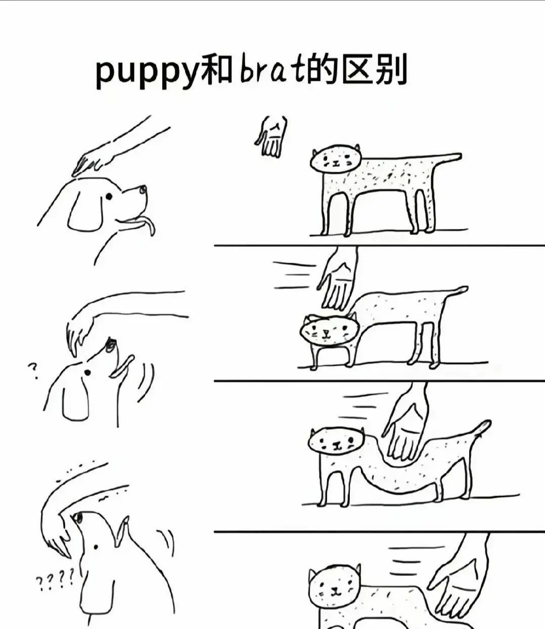 西檬之家sub是什么? 一