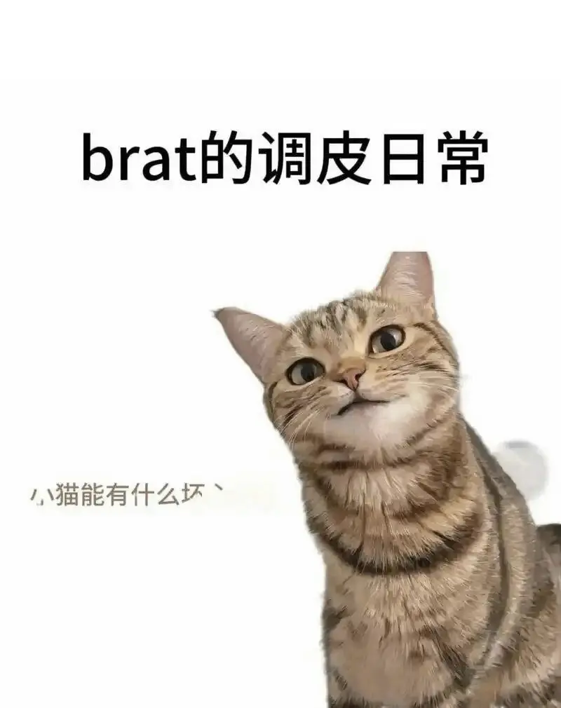 西檬之家字母圈圣水是什么? 一