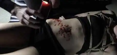 西檬之家ddlg是什么?你的字母圈属性是? 一